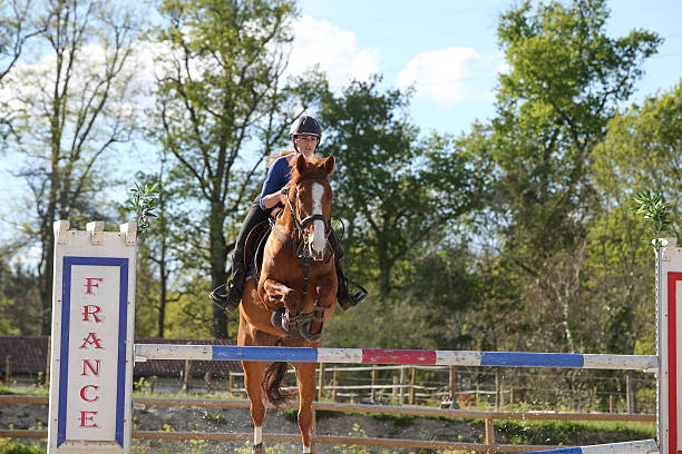 istock horsewoman training to jump before competition 534568298
