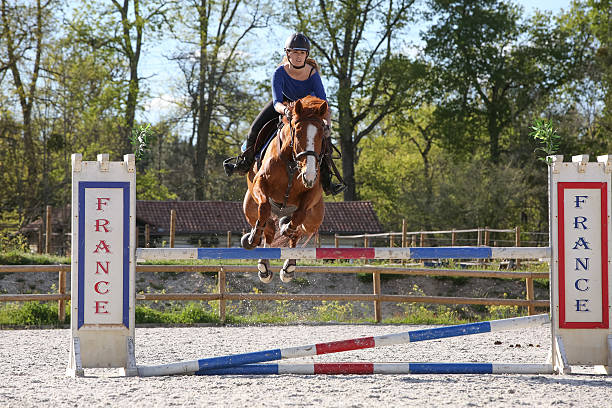 istock horsewoman training to jump before competition 534568642