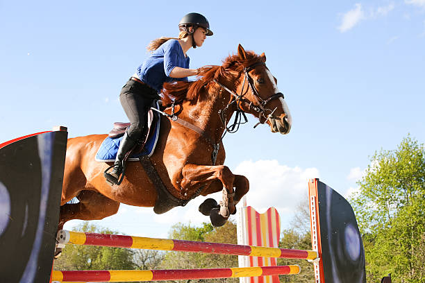 istock horsewoman training to jump before competition 534568706