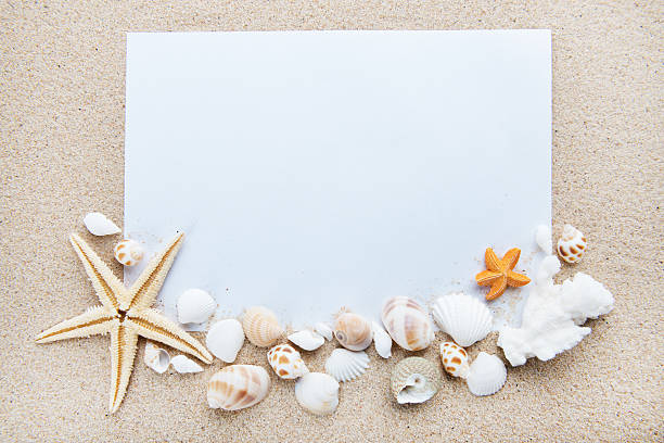 istock Beach and Sea life 534568856
