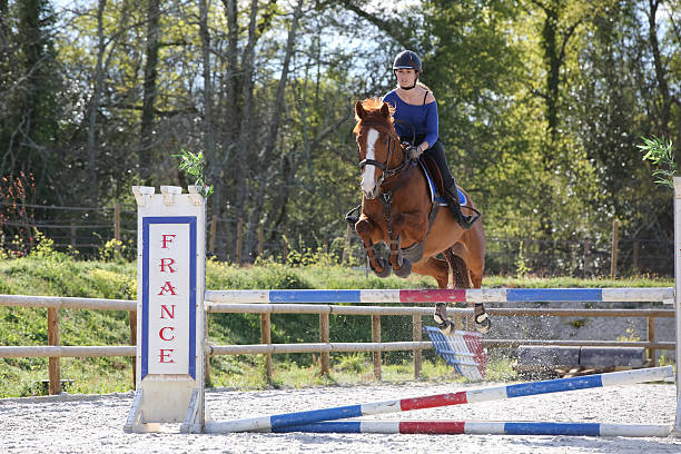 istock horsewoman training to jump before competition 534568860