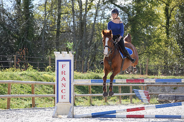 istock horsewoman training to jump before competition 534568958