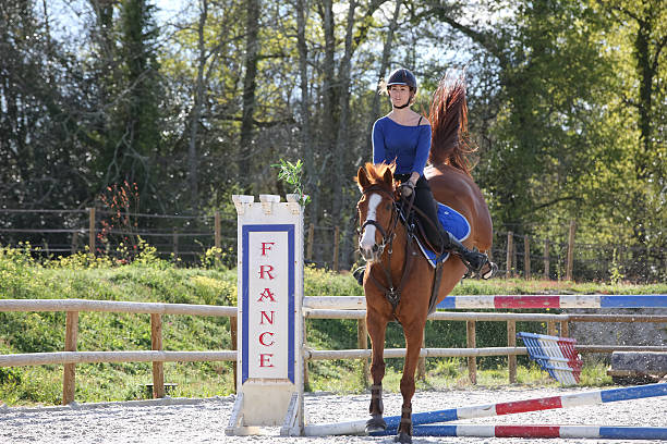 istock horsewoman training to jump before competition 534569036
