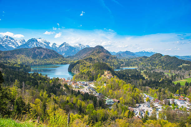 vista de neuschwanstein - neuschwanstein allgau europe germany - fotografias e filmes do acervo