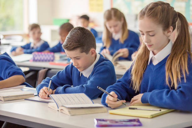 istock Elementary school children working at desk in classroom during lesson 534576363