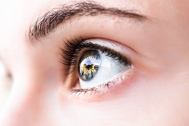 istock Portrait -- Girl's Eye 534599307