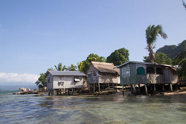 istock Local village on the Solomon Islands 534599516