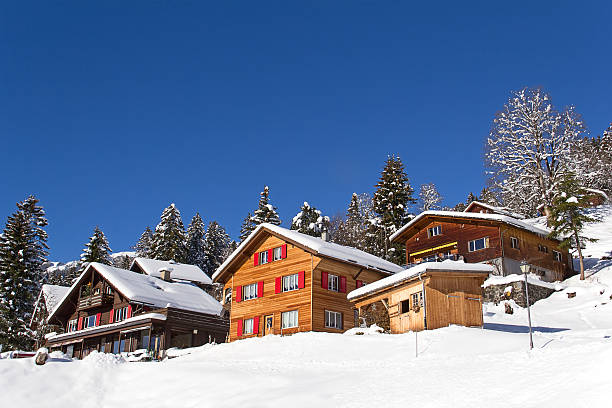 istock Winter in the alps 534601109