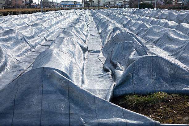 istock Silver non woven fabric on Japanese farm 534604341