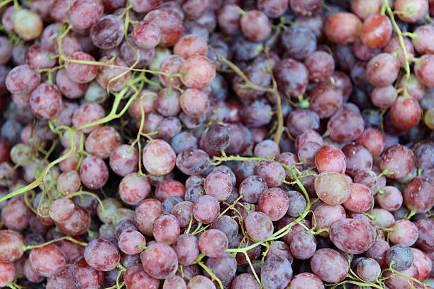 uve rosse fresche dalla turchia (biologico) - grape red grape red farmers market foto e immagini stock