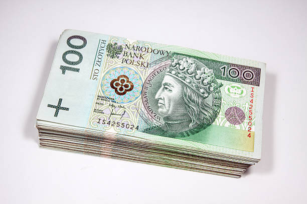 Polish money in denominations of 100 zloty Polish money in denominations of 100 zloty polish zloty photos stock pictures, royalty-free photos & images