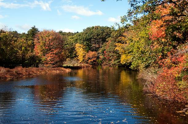 istock Lovely Autumn Day On A Lake 534608309