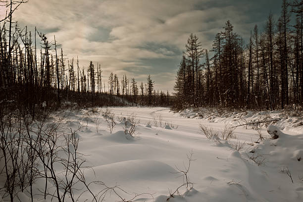 istock River under snow in the taiga 534608448