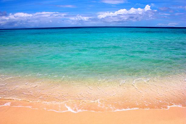 istock Perfect isolated beach with waves, sand and sky 534609770