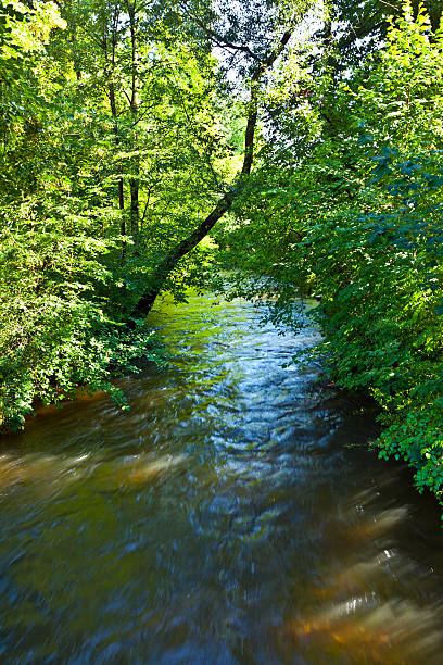 beautiful river Wuerm with green trees in Munich