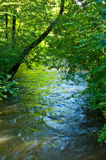 Stream in Mount, river bank, mossy stones, flowing water