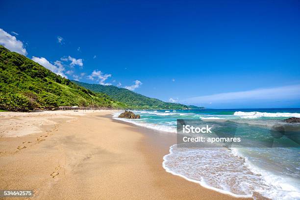 Tropical Golden Sand Beach In The Caribbean Stock Photo - Download Image Now - Margarita Island, Venezuela, 2015