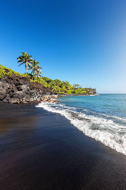 블랙 모래 해변 하와이 마우이 honokalani wainapanapa - maui beach palm tree island 뉴스 사진 이미지