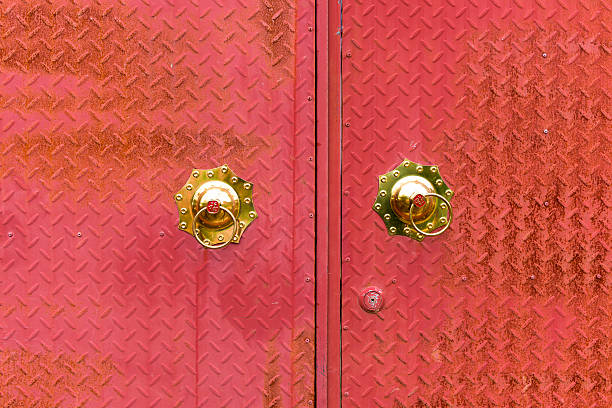 chinese traditional door lion knocker