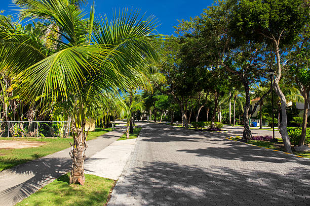 istock Caribbean street, Playacar, Playa del Carmen 534665225