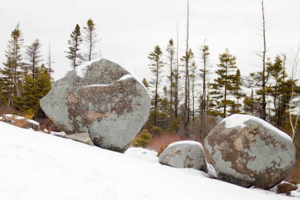 istock Boulders on an uphill in winter with trees in background 534665263