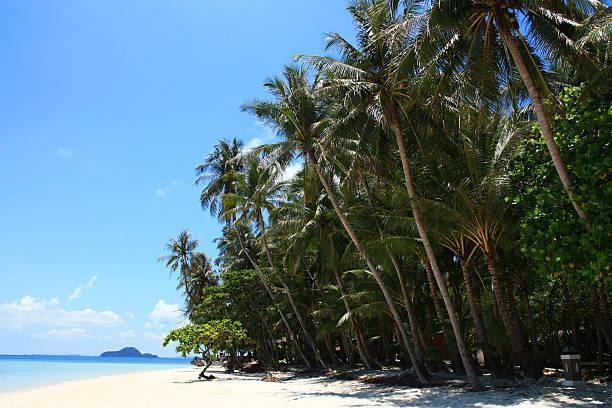 istock Koh chang beach Thailand 534666195