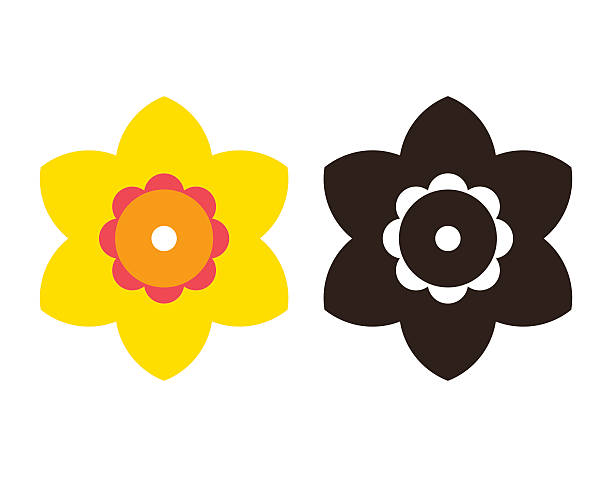 ilustraciones, imágenes clip art, dibujos animados e iconos de stock de narcissus-conjunto de iconos de flores - daffodil