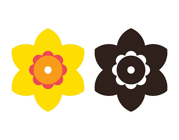 illustrations, cliparts, dessins animés et icônes de narcisse-ensemble d'icônes de fleur - daffodil