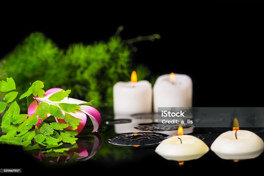 spa background of plumeria flower, green branch fern with drops spa background of plumeria flower, green branch fern with drops and candles on zen basalt stones in reflection water, closeup 2015 Stock Photo