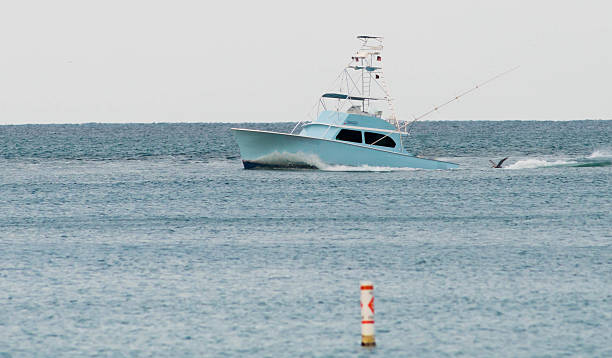 istock Boat on the Horizon Going Fishing 534668041