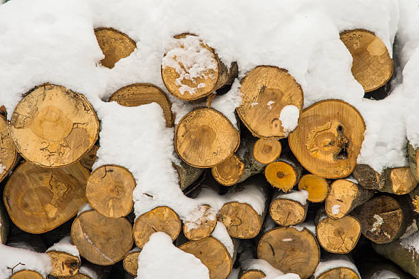 istock Pile of woods 534668871
