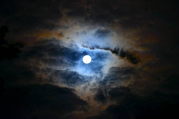 istock Full moon over the jungle in Australia 534669655