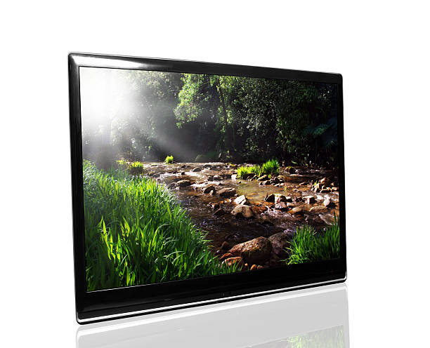 tv monitor