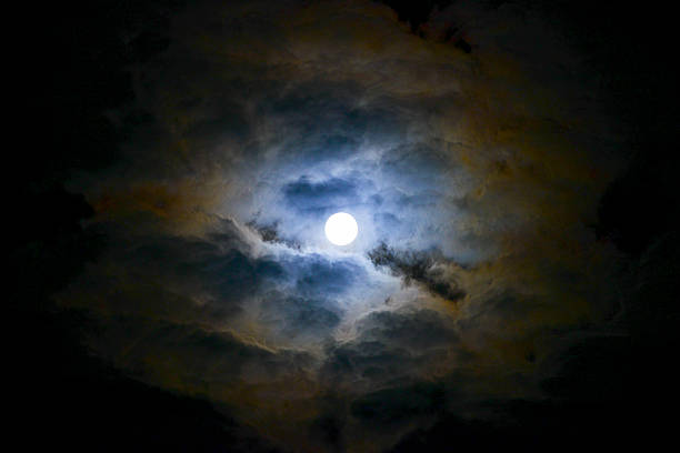 istock Full moon over the jungle in Australia 534679323