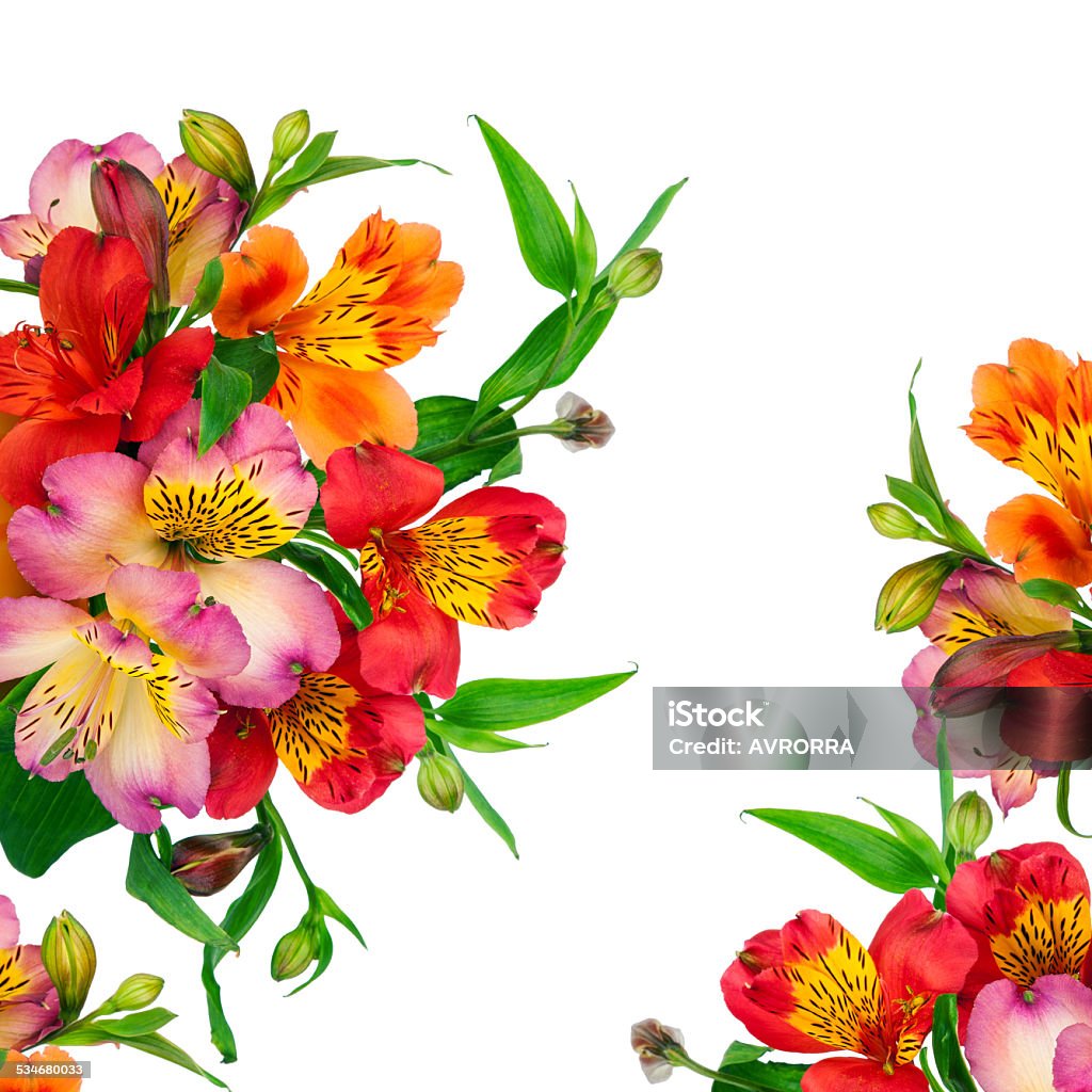 Beautiful bouquet of colorful flowers in vase  (Alstroemeria) Alstroemeria flowers background 2015 Stock Photo