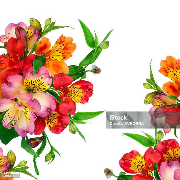 Beautiful Bouquet Of Colorful Flowers In Vase Stock Photo - Download Image Now