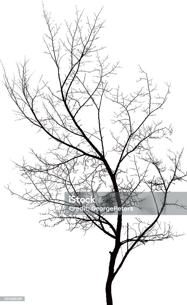 Tree Branch elemento de diseño - arte vectorial de 2015 libre de derechos