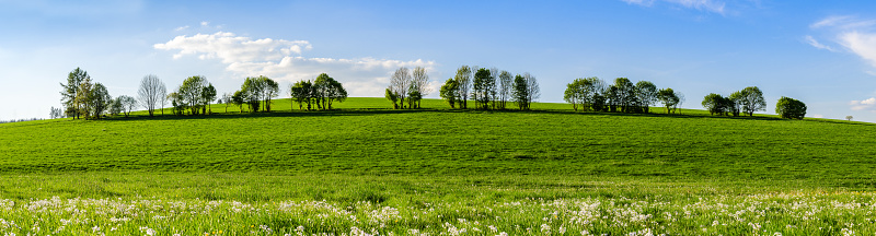 Farmland in the middle of Germany. Meadows and trees in a row. 