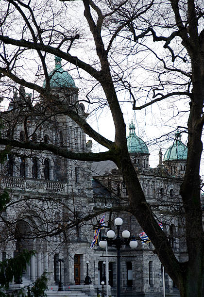 istock Victoria’s Parliament building hiding behind bare maple trees 534682163