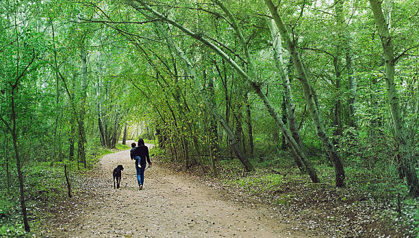istock Family in the forest 534684065