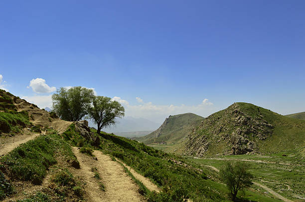 istock Trees in the mountains, Zarhar gorge, Kyrgyzstan 534687903