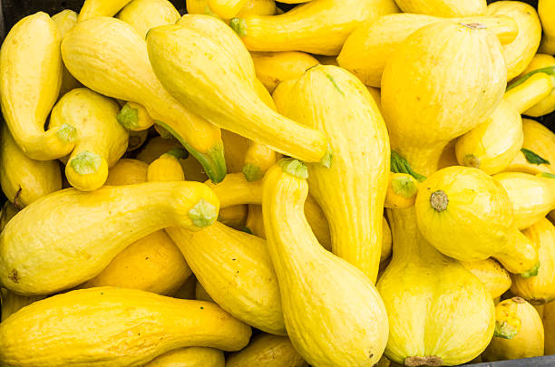 jaune affichage de squash à l'épicerie the market - crookneck squash photos et images de collection