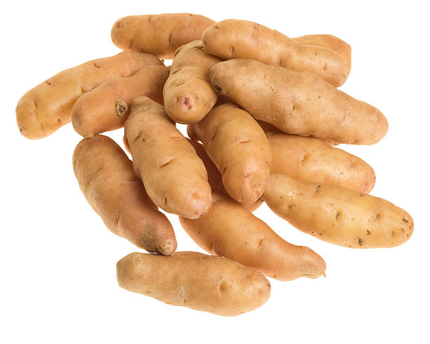 картофель фингерлинг изолированные на белом - fingerling стоковые фото и изображения