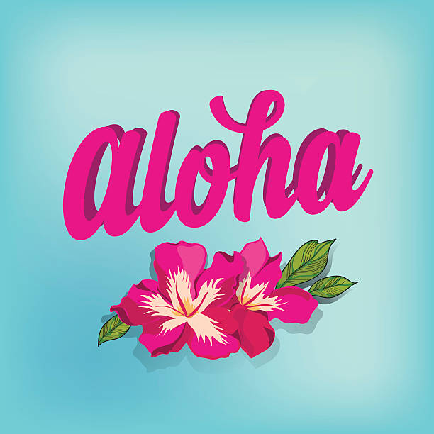 Summer poster. Summer poster. aloha single word stock illustrations
