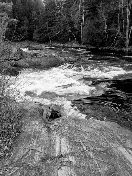 istock Waterfall in the woods b&w 534697847