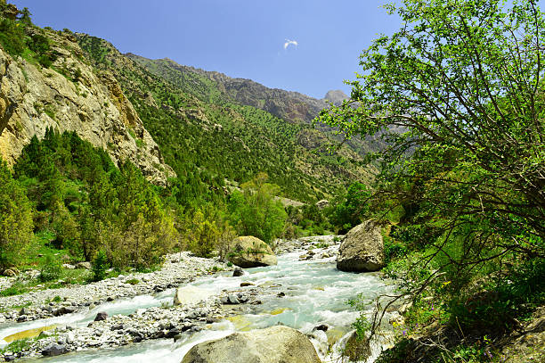 istock Mountain river, Galuyan gorge, Kyrgyzstan 534698819