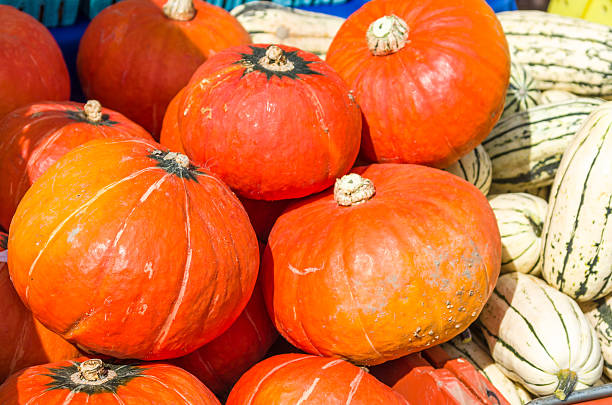 istock Orange hubbard and delicata squash on display 534699263