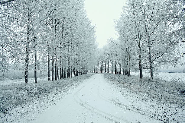 istock Snowy winter road in a field 534699295