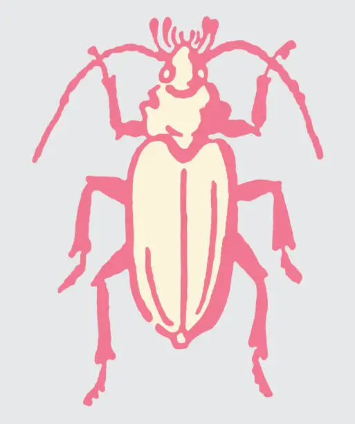 Vector illustration of Insect