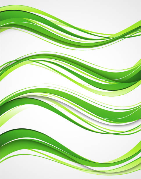 illustrations, cliparts, dessins animés et icônes de fond abstrait lignes incurvées.   design de template brochure - eps10 decoration transparent green
